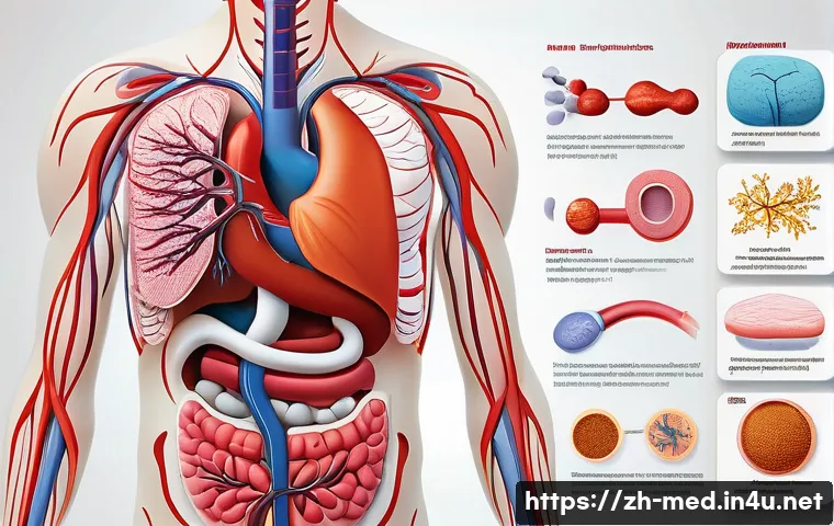 독성학 개론 - A detailed scientific illustration showing the toxicokinetic process of harmful chemicals in the hum...